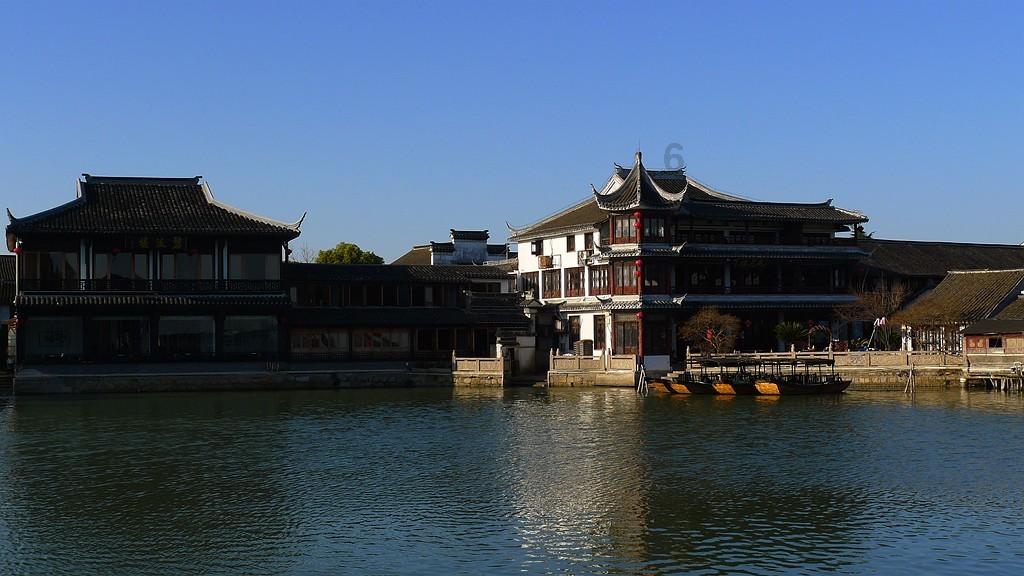 动物帮帮忙保卫家园